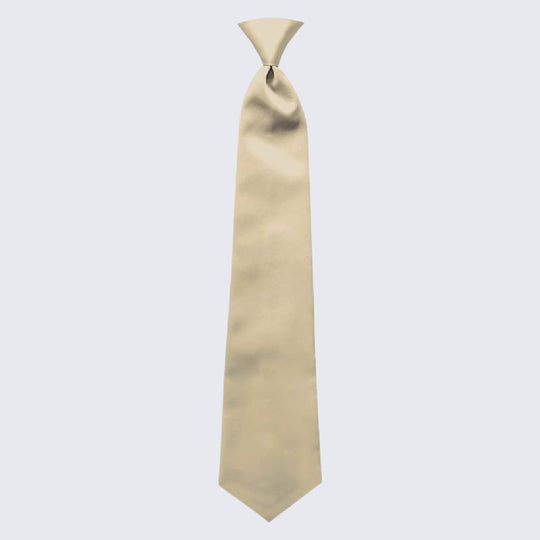 Champagne Tie Mens Pre-Tied Satin