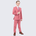 Boys Mauve Suit 5-Piece Set by Perry Ellis for Kids Teen Children - Wedding